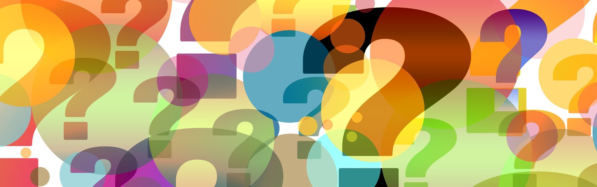 what questions to ask when appointing liquidators