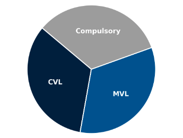 solvent liquidation process diagram